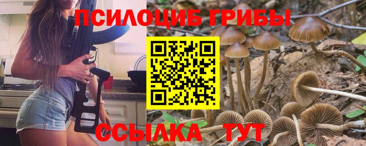 Псилоцибиновые грибы мухоморы Гатчина
